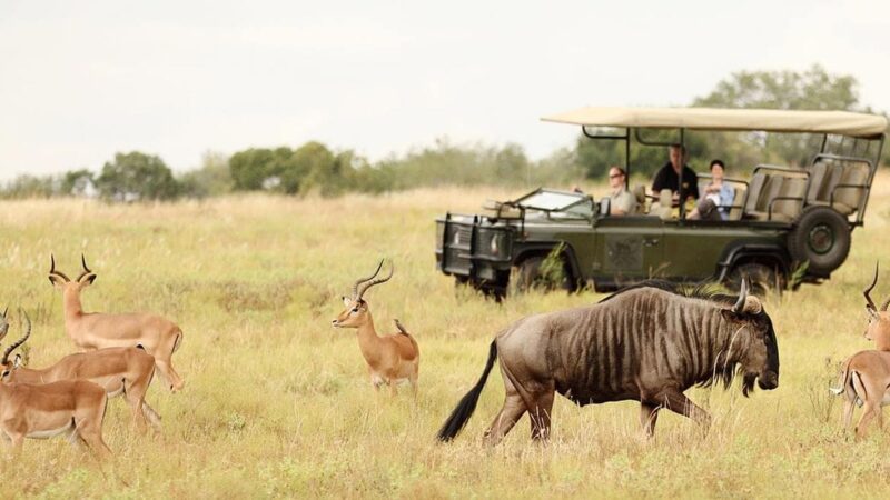 Hunting in Africa’s National Parks: Safari and Beyond