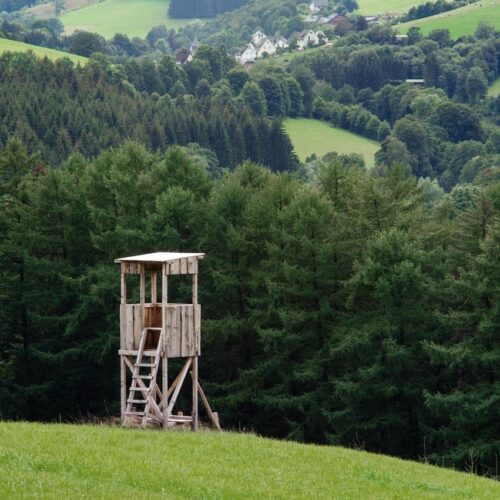 hunting-tower