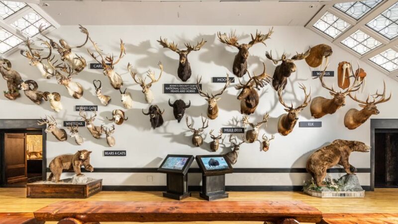 Hunting Grounds of Scandinavia: Wild Nature and Northern Trophies